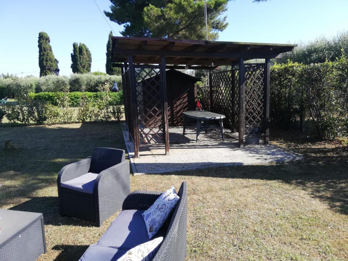 L'Aia Degli Olivi Διαμέρισμα Vada Εξωτερικό φωτογραφία
