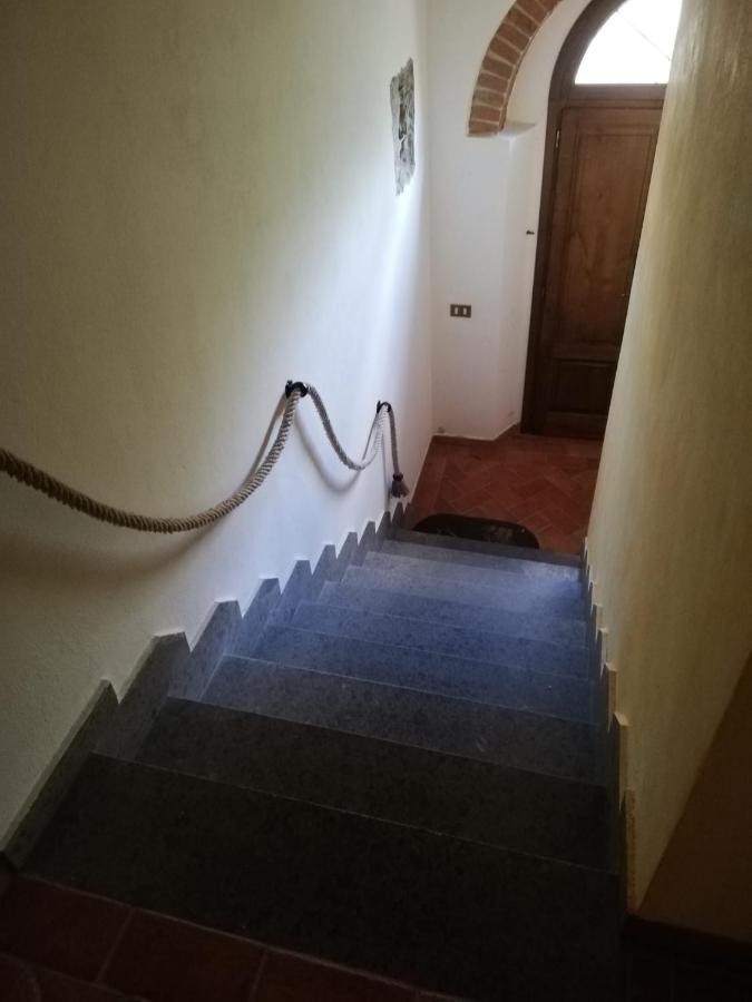 L'Aia Degli Olivi Διαμέρισμα Vada Εξωτερικό φωτογραφία